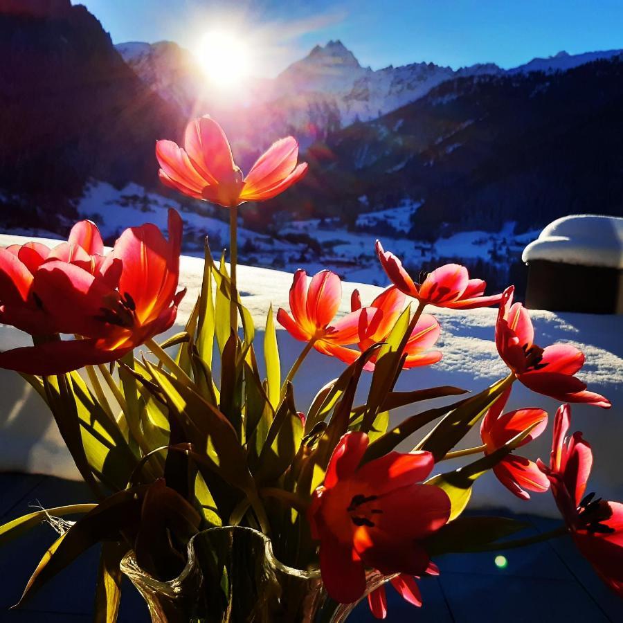Alpenpension Maderer กาชูร์น ภายนอก รูปภาพ