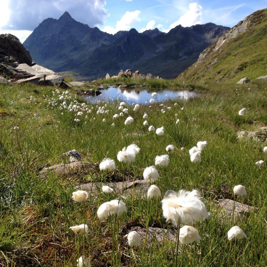 Alpenpension Maderer กาชูร์น ภายนอก รูปภาพ
